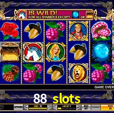 88 slots Rio de Janeiro - Professional Dealers